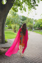 Rania Multicolor 3-Piece Stitched Suit with Flared Shalwar