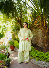 Hibiscus – Pista Green Embroidered 3 Piece Suit
